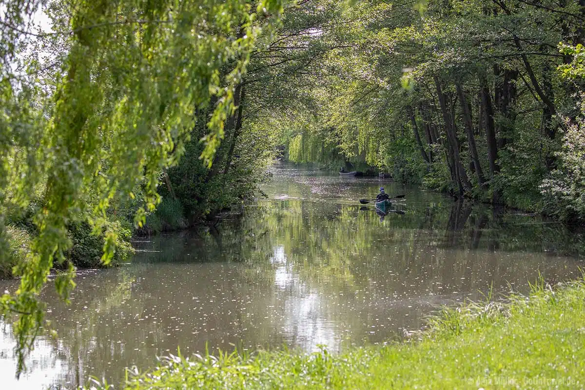 Mit dem Paddelboot den Sprrewald vom Wasser aus erkunden. Mit dem Paddelboot den Sprrewald vom Wasser aus erkunden.