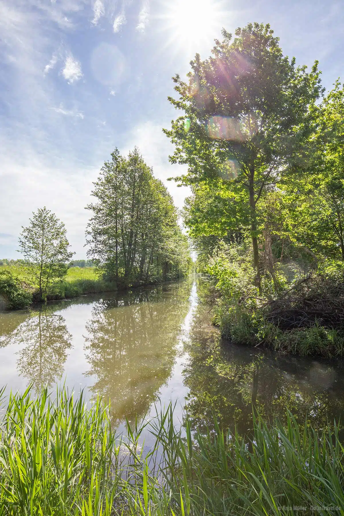 Natur pur im Spreewald Natur pur im Spreewald