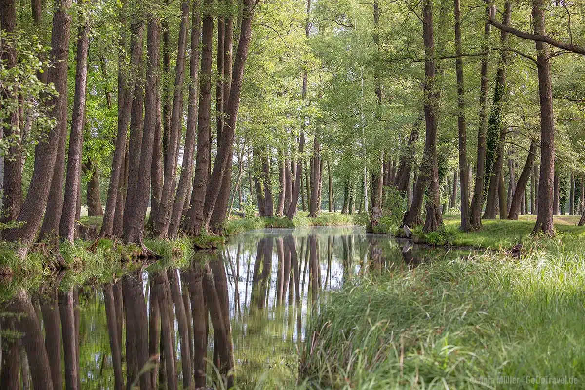 Der Spreewald zählt zu einem der schönsten Natur Sehenswürdigkeiten Brandenburg. Der Spreewald zählt zu einem der schönsten Natur Sehenswürdigkeiten Brandenburg.
