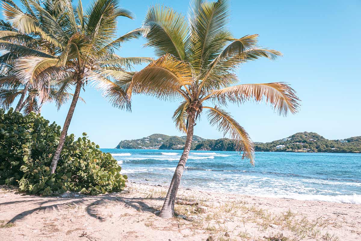 Auf St. Lucia herrscht ganzjährig ein warmes Klima