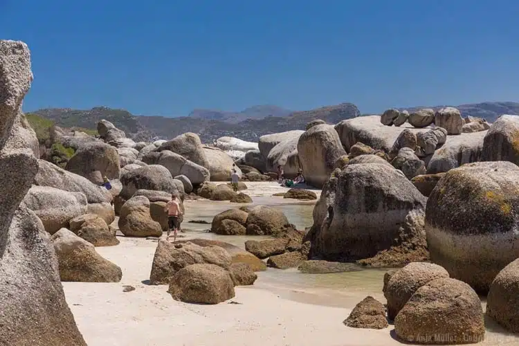 Die Felsen am Boulders Beach Die Felsen am Boulders Beach