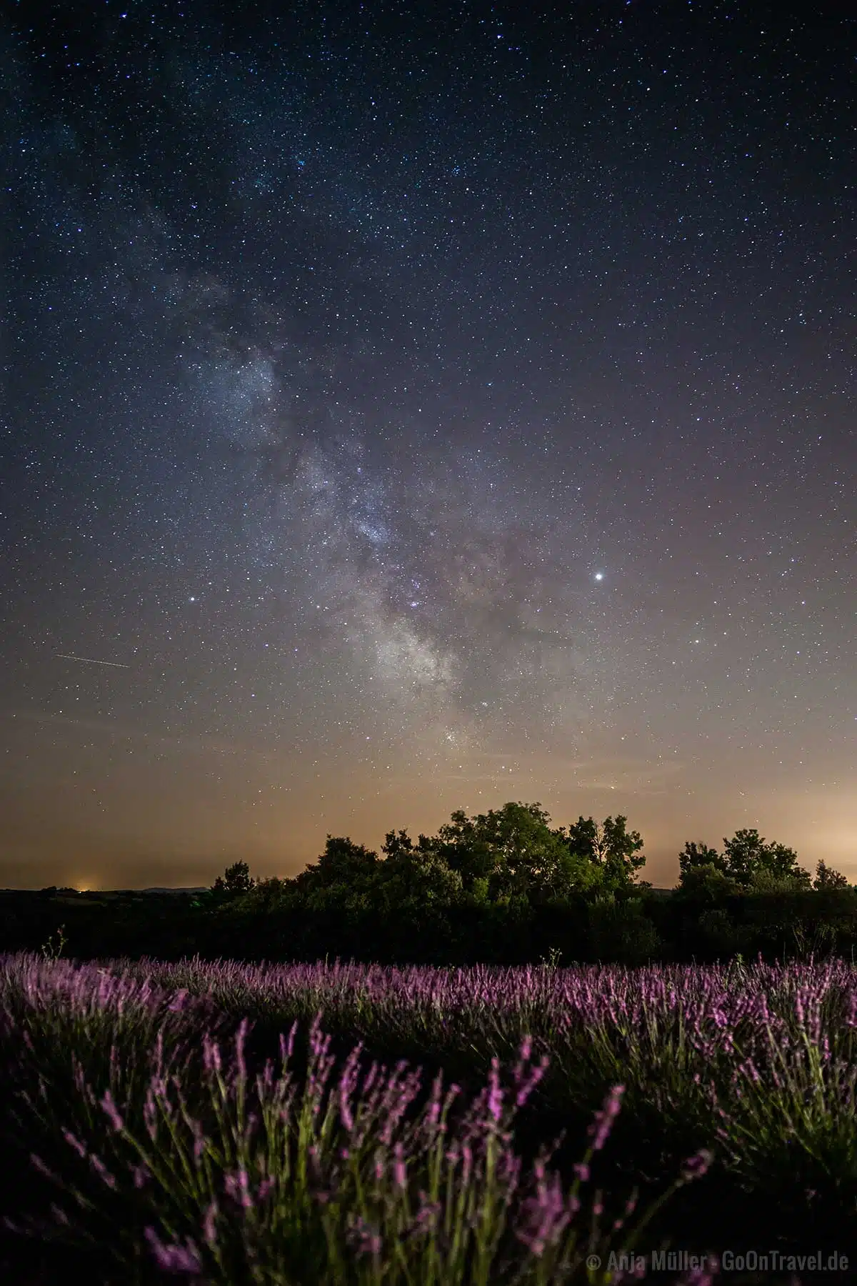 Sterne fotografieren: Milchstrasse über dem Lavendelfeld