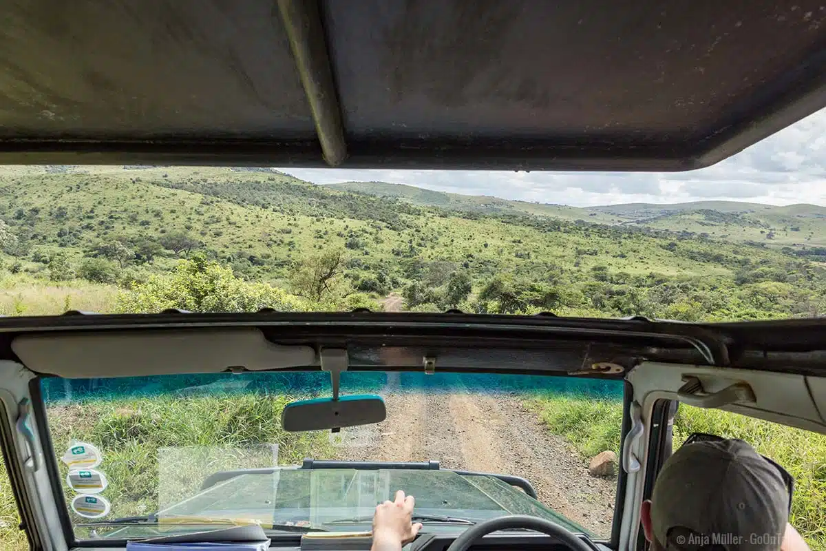 Blick vom Safari Jeep auf den Hluhluwe iMfolozi Park