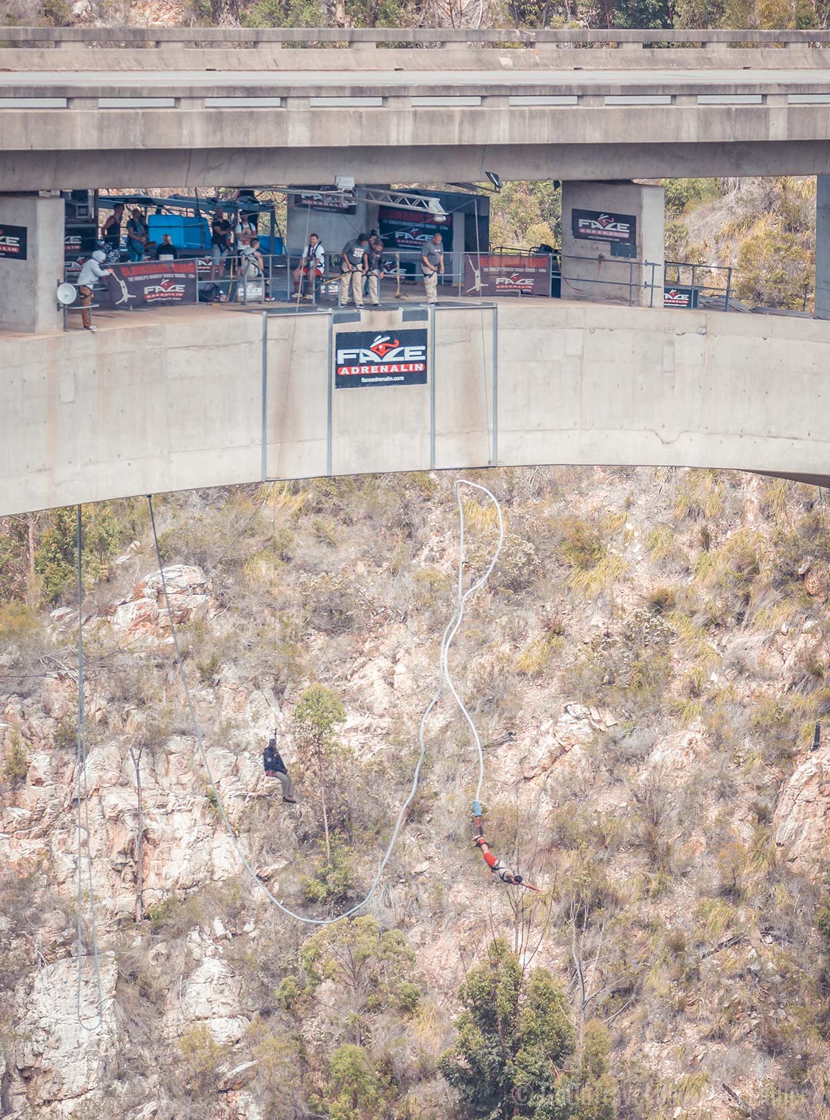 Bungee Jump von der Bloukrans Bridge