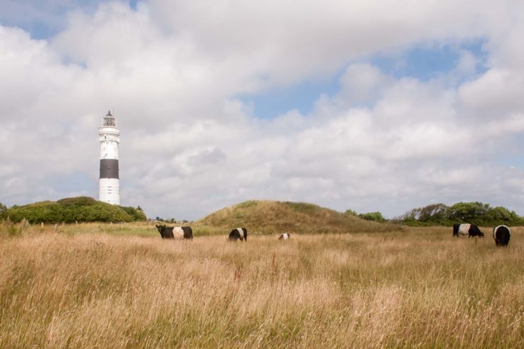 Sylt Sehenswüdrigkeiten Kampen Leuchtturm