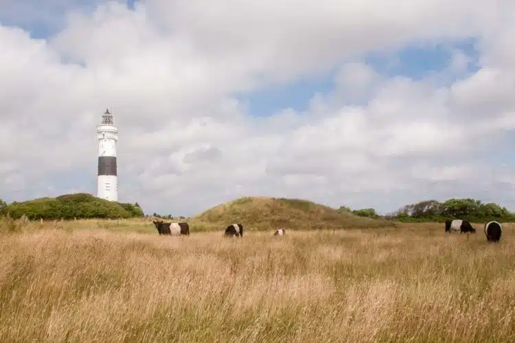 Sylt Sehenswüdrigkeiten Kampen Leuchtturm