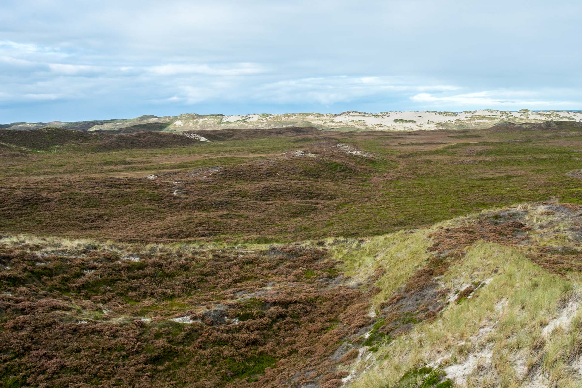 Sylt Wanderduene List