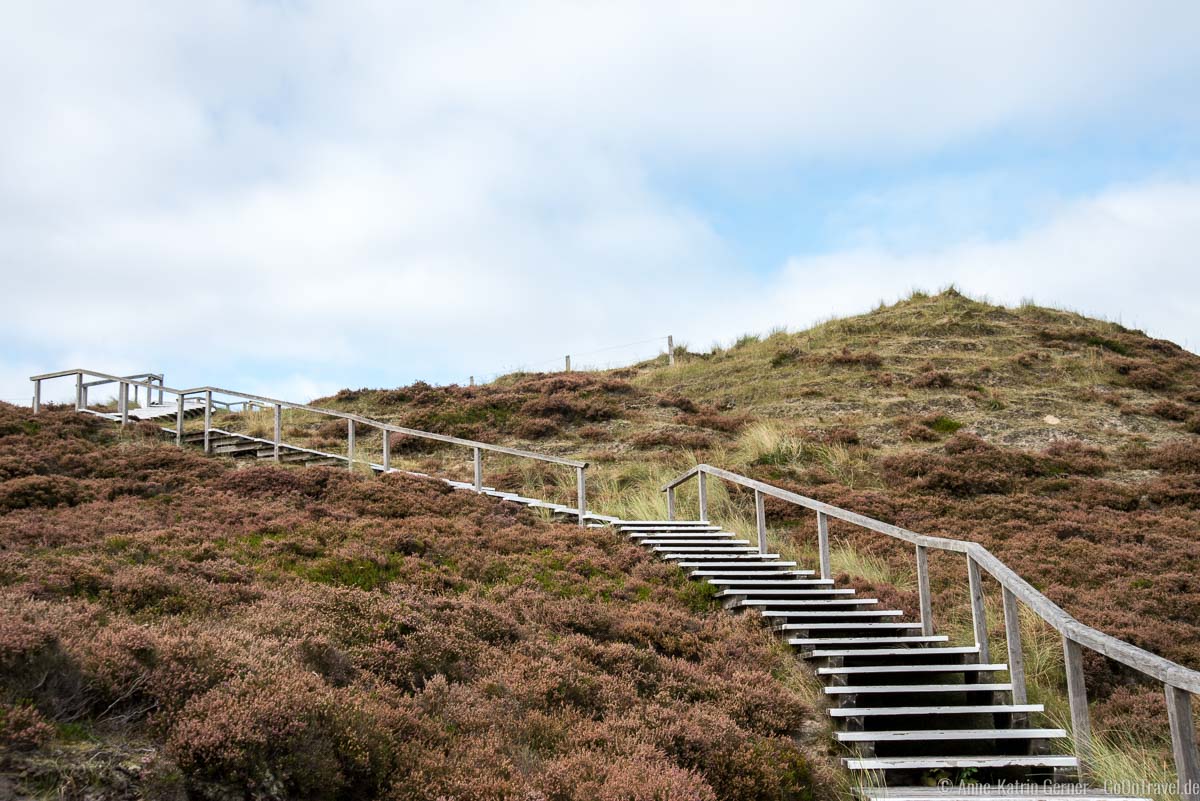 Holztreppe zur Aussichtsplattform