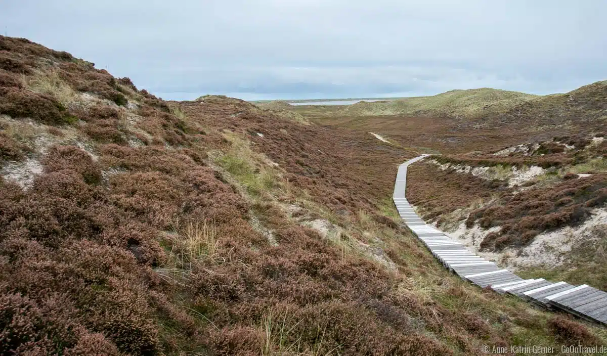 Spazierweg durch das Listland mit Meerblick Spazierweg durch das Listland mit Meerblick