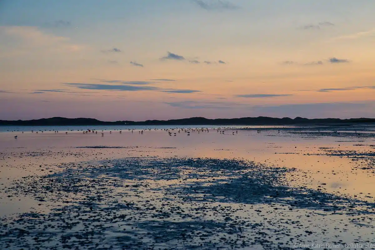 Der Königshafen ist ein Paradies für Zugvögel und Ruhesuchender Der Königshafen ist ein Paradies für Zugvögel und Ruhesuchender