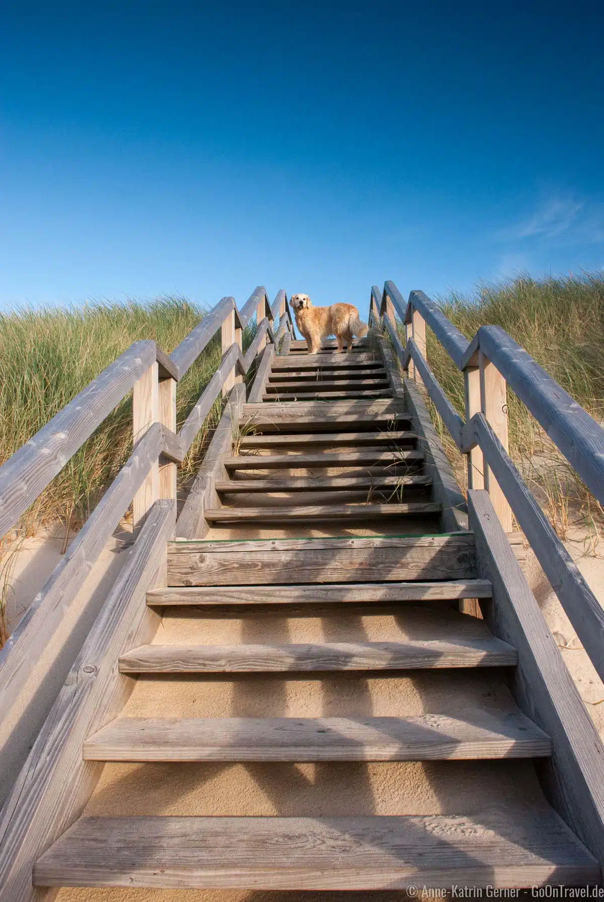 Hunde sind an der Buhne 16 auch willkommen Hunde sind an der Buhne 16 auch willkommen