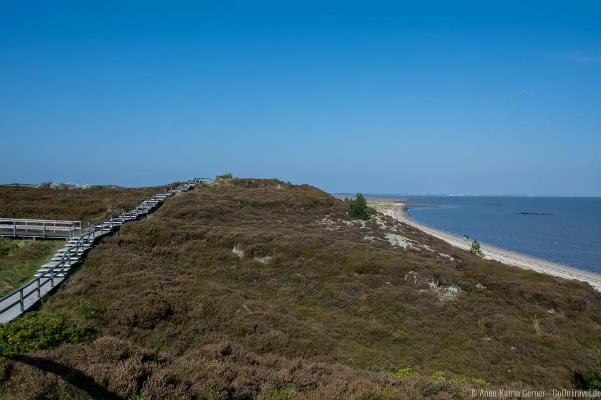 Braderuper Heide Braderuper Heide