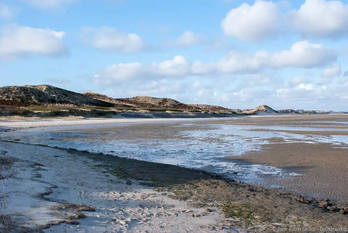 Strand bei Ebbe in der Blidselbucht Strand bei Ebbe in der Blidselbucht