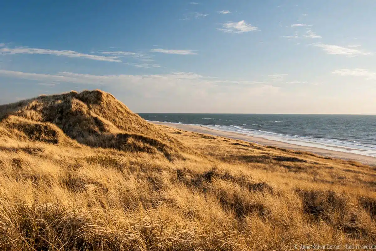 Sylter Dünenlandschaft Sylter Dünenlandschaft