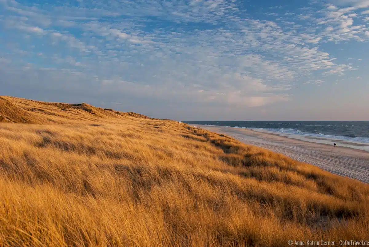 Strand und Düne soweit das Auge reicht Strand und Düne soweit das Auge reicht