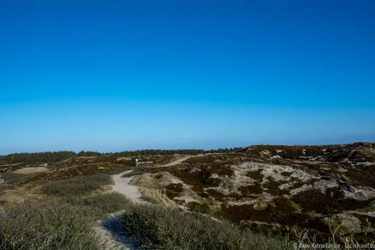 Dünenweg Dikjendeel an der Jugendherberge Dünenweg Dikjendeel an der Jugendherberge