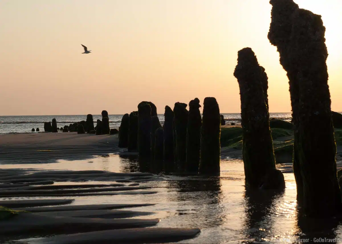 Buhnenreste am Strand von Westerland Buhnenreste am Strand von Westerland