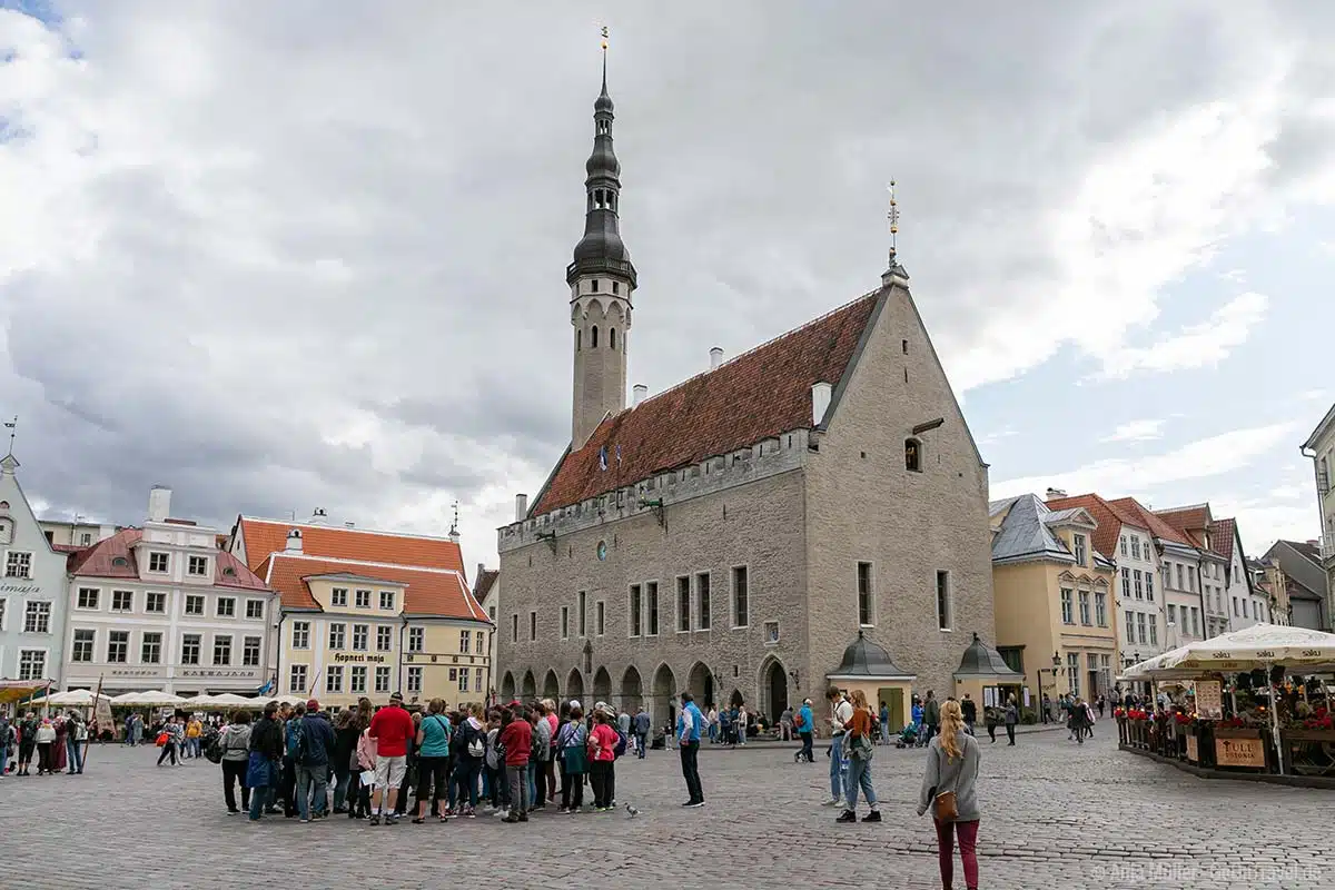 Eine der wichtigsten Tallinn Sehenswürdigkeiten: das gotische Rathaus