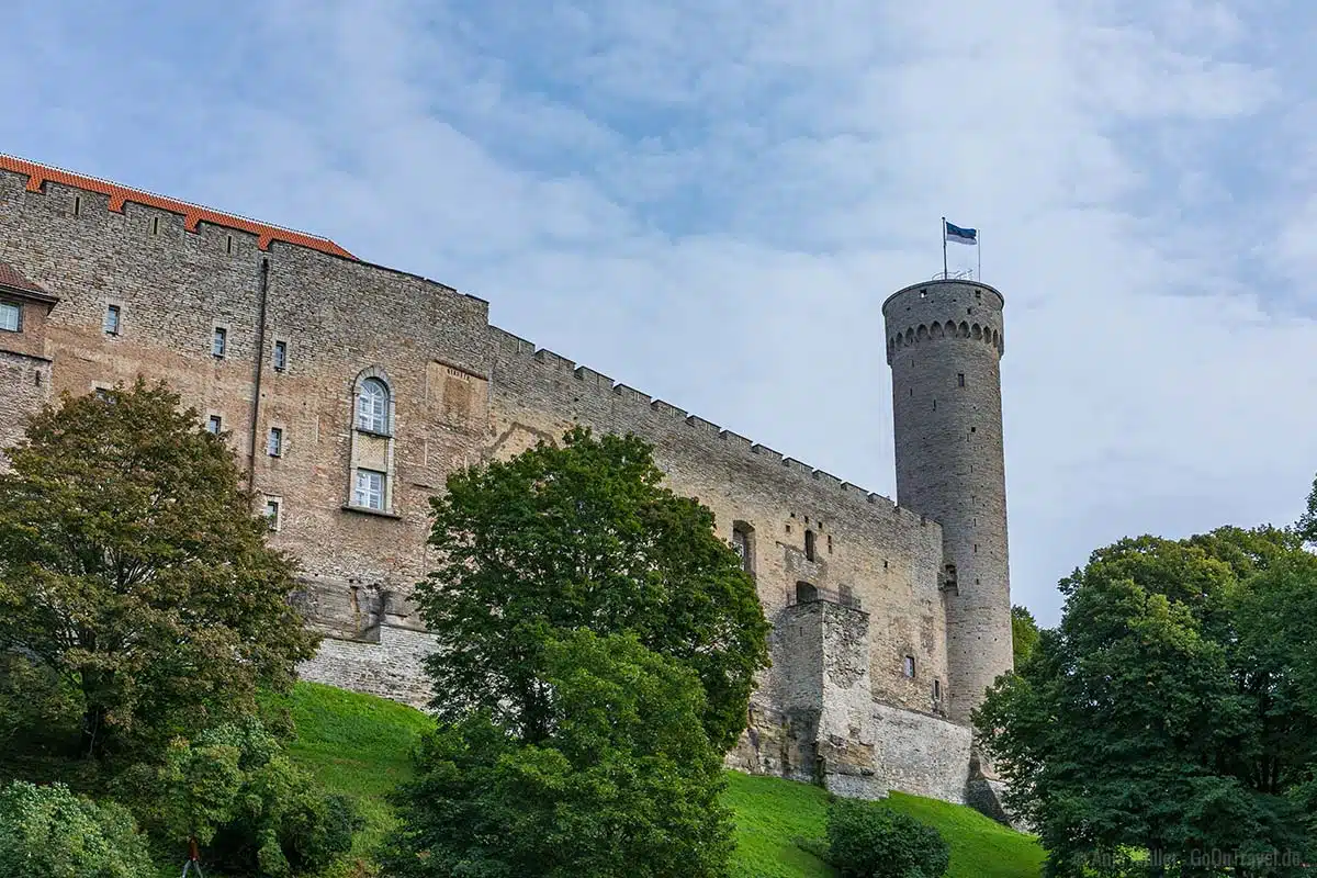 Das Schloss von Tallinn mit dem Langer Hermann Turm Das Schloss von Tallinn mit dem Langer Hermann Turm