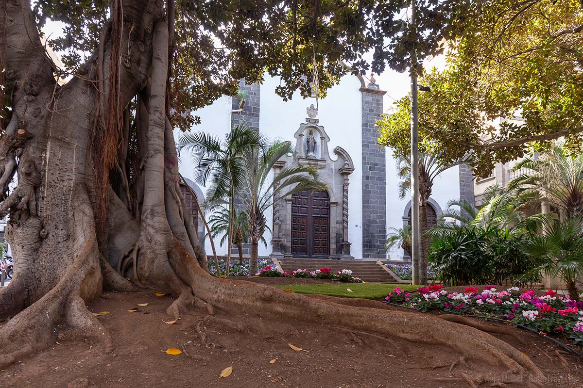 Der Plaza San Francisco in Santa Cruz de Tenerife Der Plaza San Francisco in Santa Cruz de Tenerife