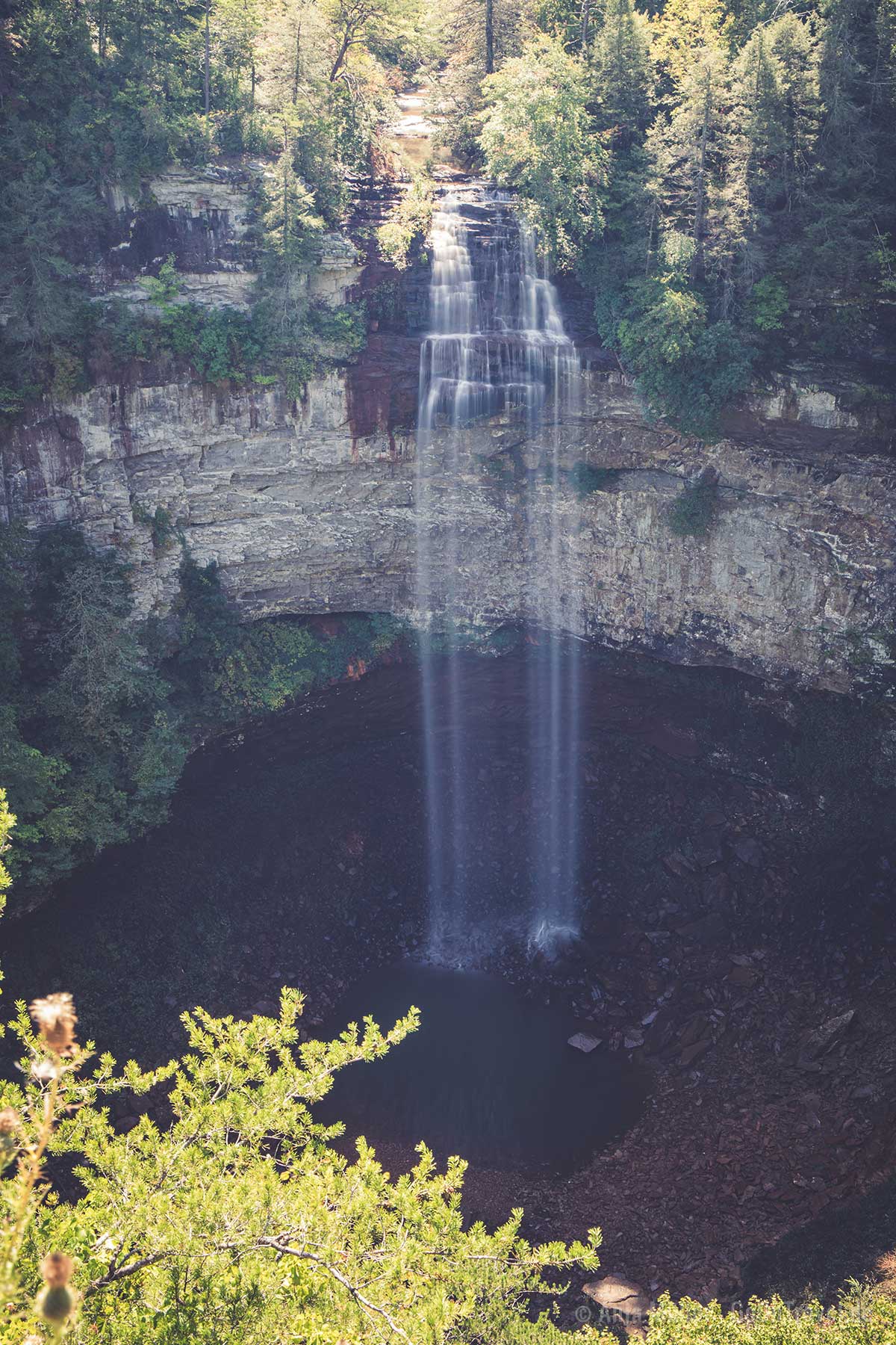 Blick auf den Fall Creek Falls von der Aussichtsplattform