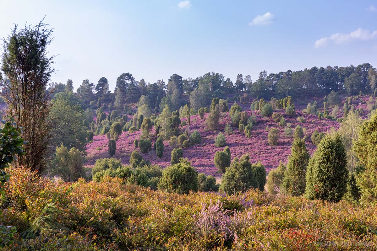 Teufelsgrund in der Lüneburger Heide Teufelsgrund in der Lüneburger Heide