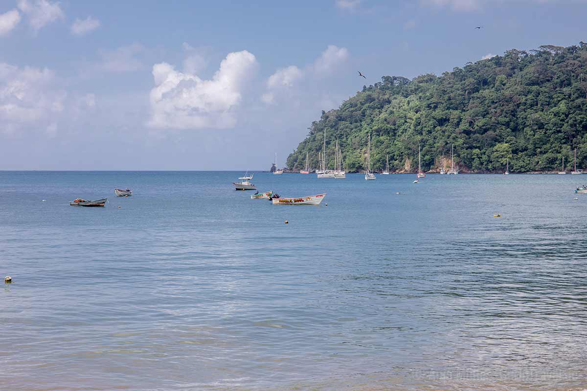 Vor Charlotteville gibt es viele Fischerboote