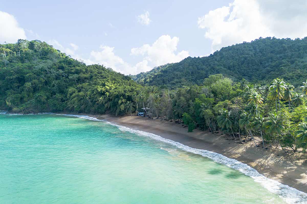 Englishman’s Bay von oben