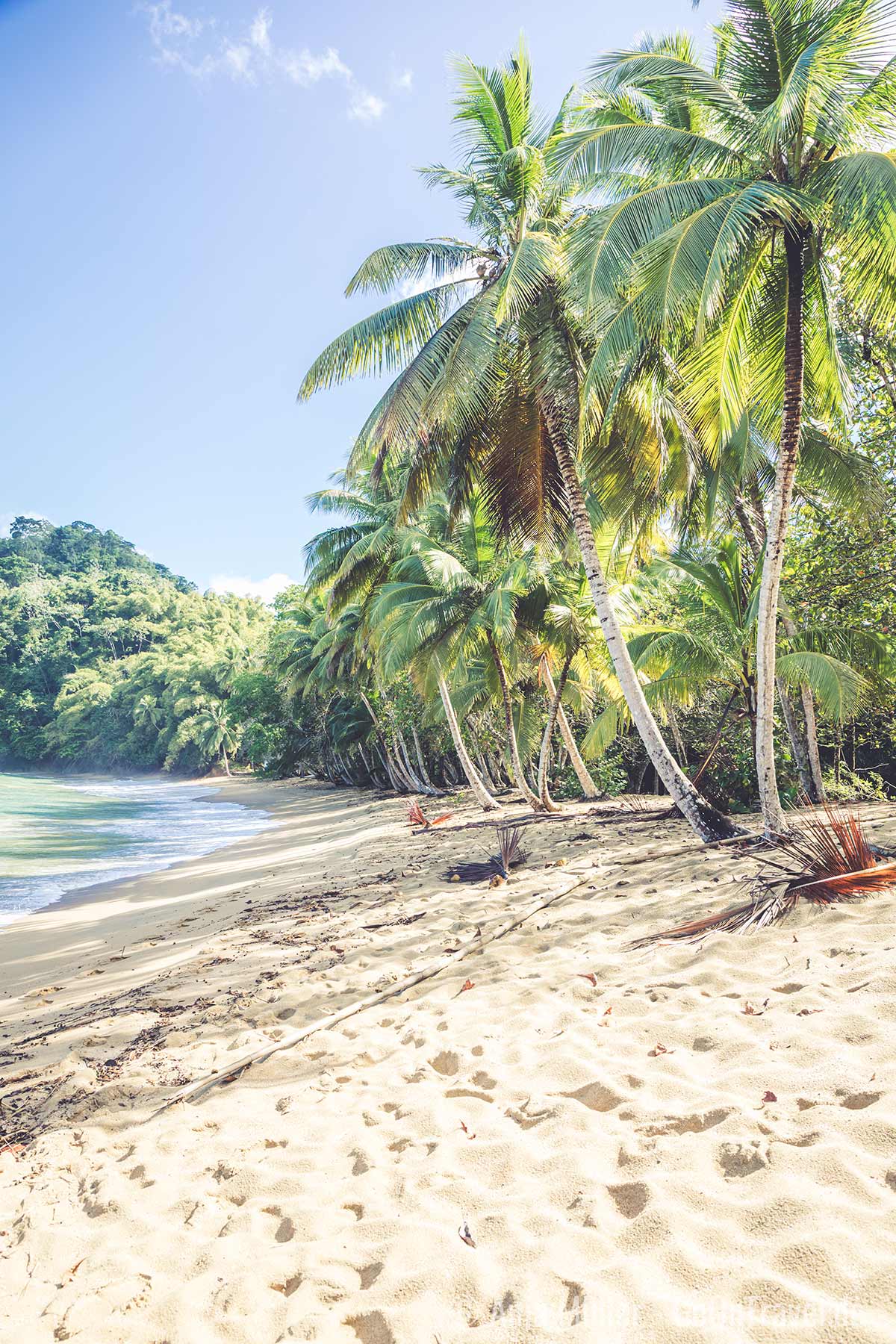 Einsamer Strand auf Tobago
