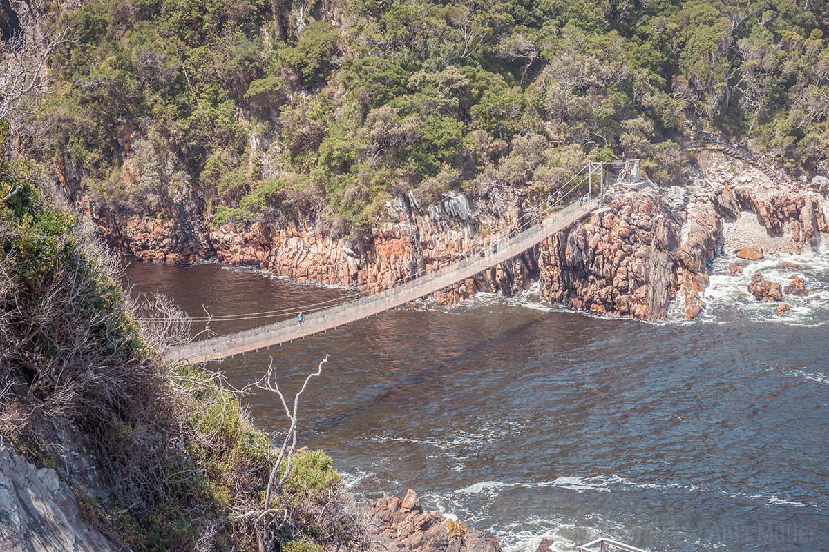 Suspension Bridge