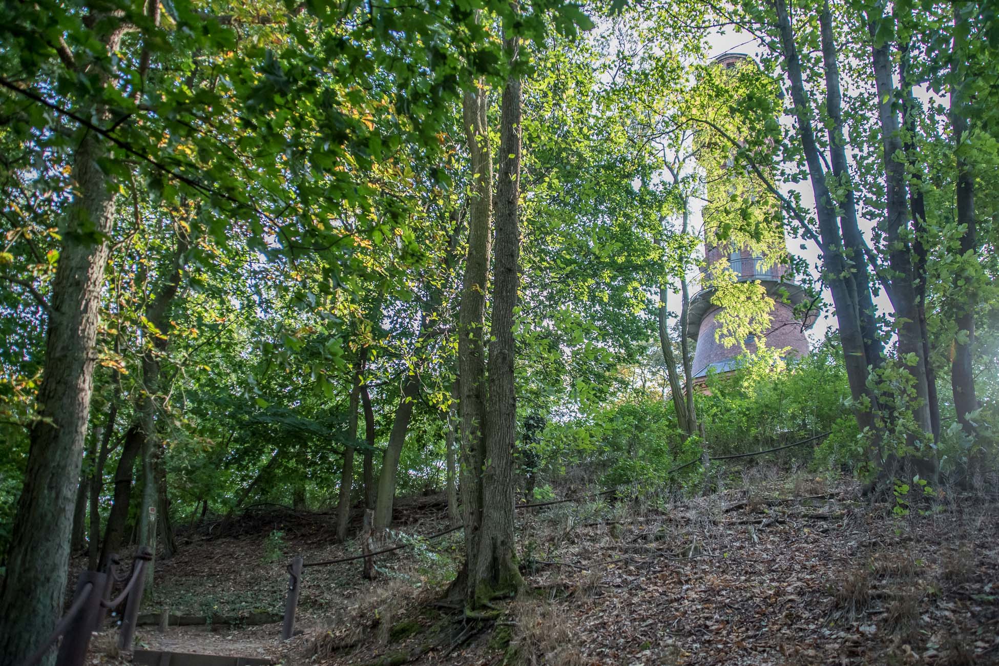 Turmwanderweg mit Aussichtspunkt