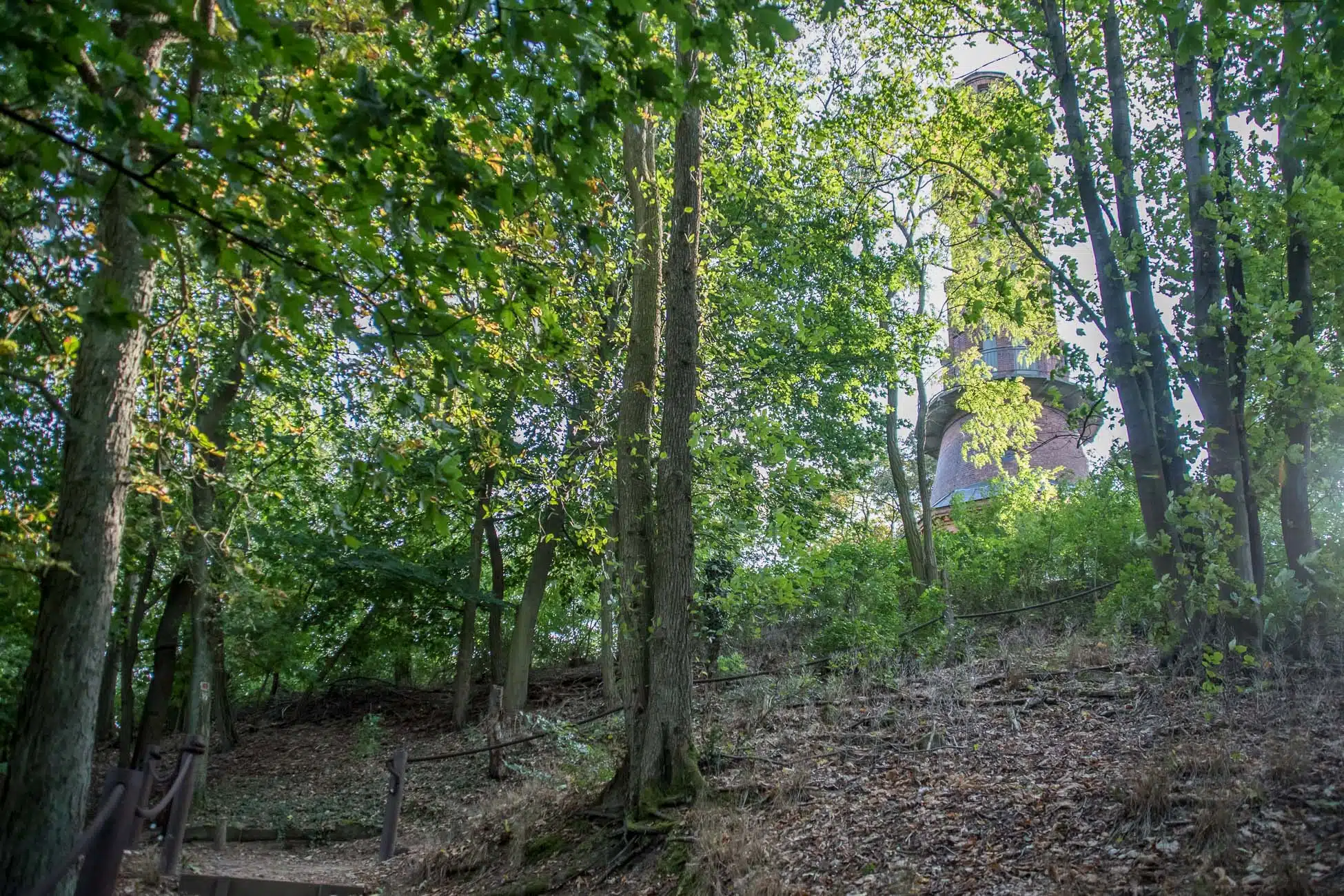 Turmwanderweg mit Aussichtspunkt Turmwanderweg mit Aussichtspunkt