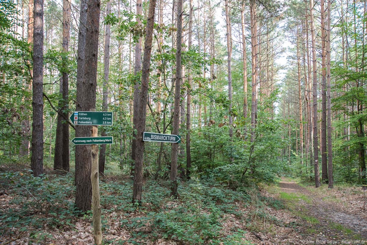 Turmwanderweg zum Bismarckturm Turmwanderweg zum Bismarckturm