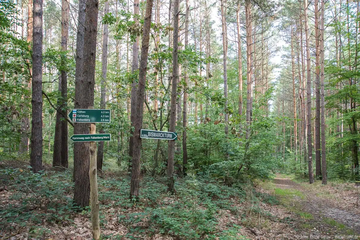 Turmwanderweg zum Bismarckturm Turmwanderweg zum Bismarckturm