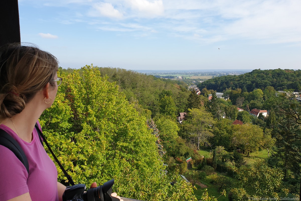 Blick ins Oderbruch vom Eulenturm Blick ins Oderbruch vom Eulenturm
