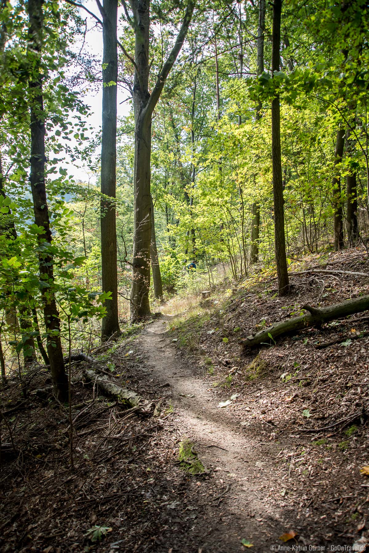 Wanderweg zwischen Eulenturm und Schanzenturm Wanderweg zwischen Eulenturm und Schanzenturm