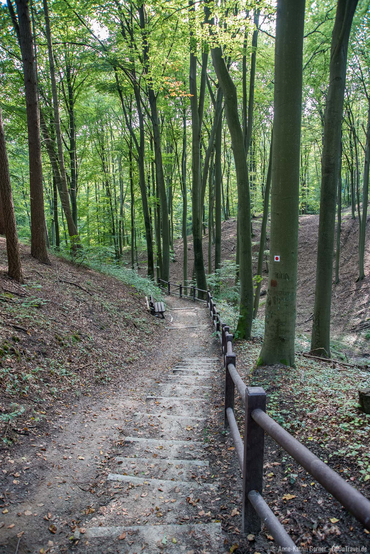 Wanderweg zwischen Schanzenturm und Aussichtsturm Wanderweg zwischen Schanzenturm und Aussichtsturm
