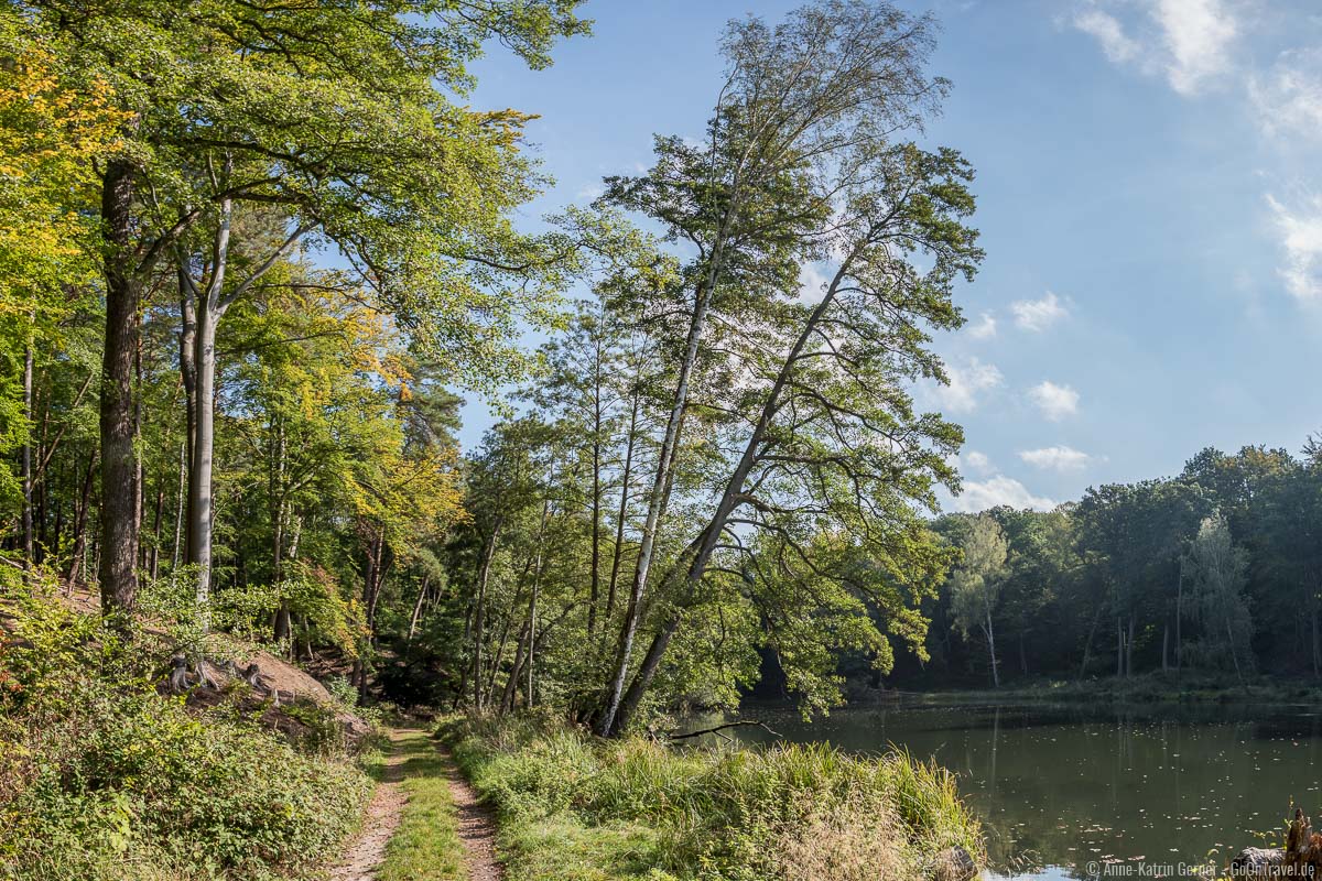 Turmwanderweg entlang des Teufelssees Turmwanderweg entlang des Teufelssees