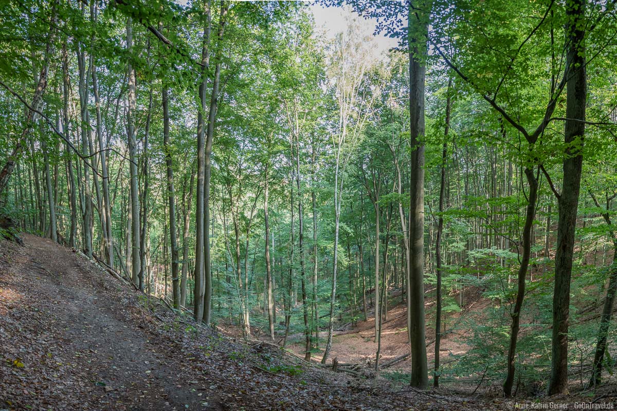 Von der Eiszeit geformte Schlucht auf dem Turmwanderweg Von der Eiszeit geformte Schlucht auf dem Turmwanderweg