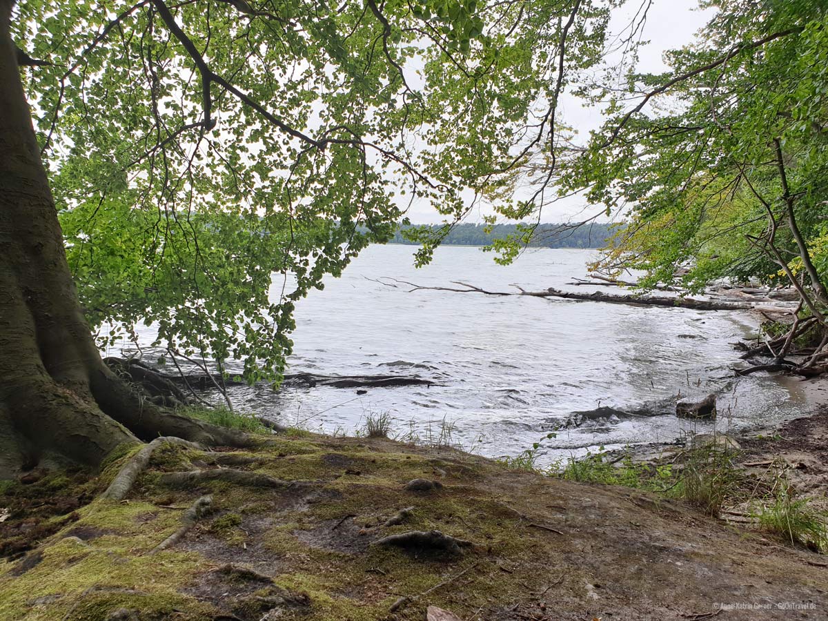 Werbellinsee zwischen Altenhof und EJB