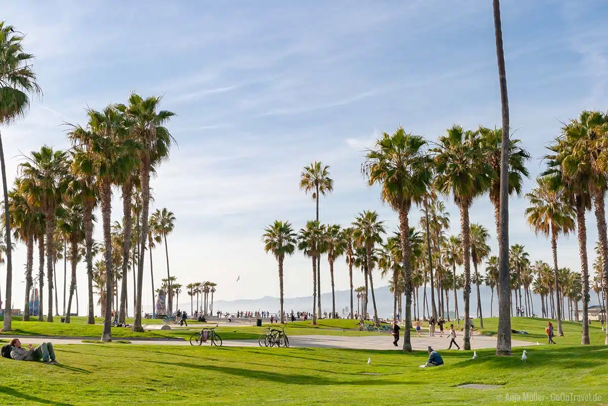 Venice Beach Venice Beach