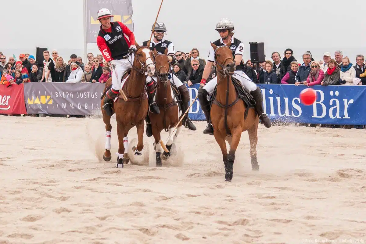 In Hörnum findet zu Pfingsten das beliebte Beach Polo statt In Hörnum findet zu Pfingsten das beliebte Beach Polo statt