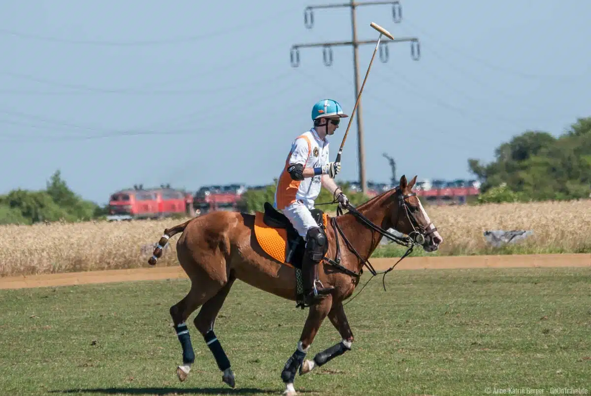 Perfekter Sylt-Kontrast: Polospieler und Autozug Perfekter Sylt-Kontrast: Polospieler und Autozug