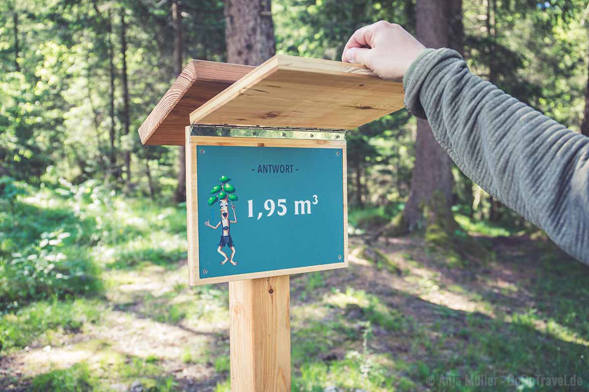 Am Walderlebnispfad bei Farchant Am Walderlebnispfad bei Farchant