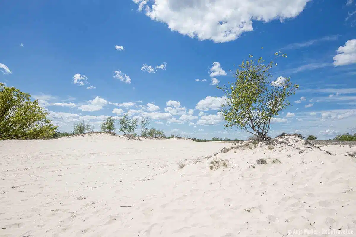 Weißer Sandstrand mitten in Brandenburg Weißer Sandstrand mitten in Brandenburg