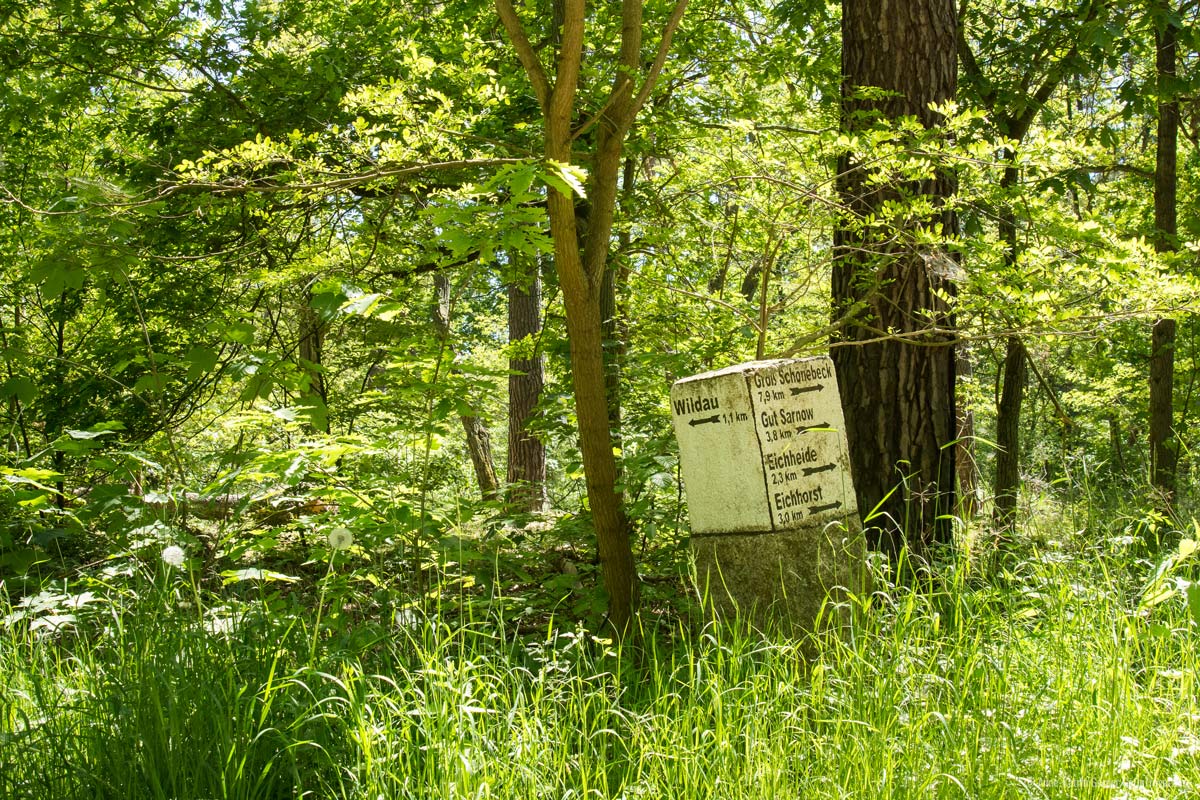 Wanderweg durch die Schorfheide