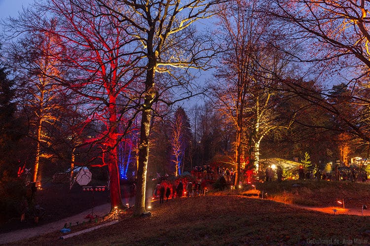 Waldweihnacht im Forstbotanischen Garten