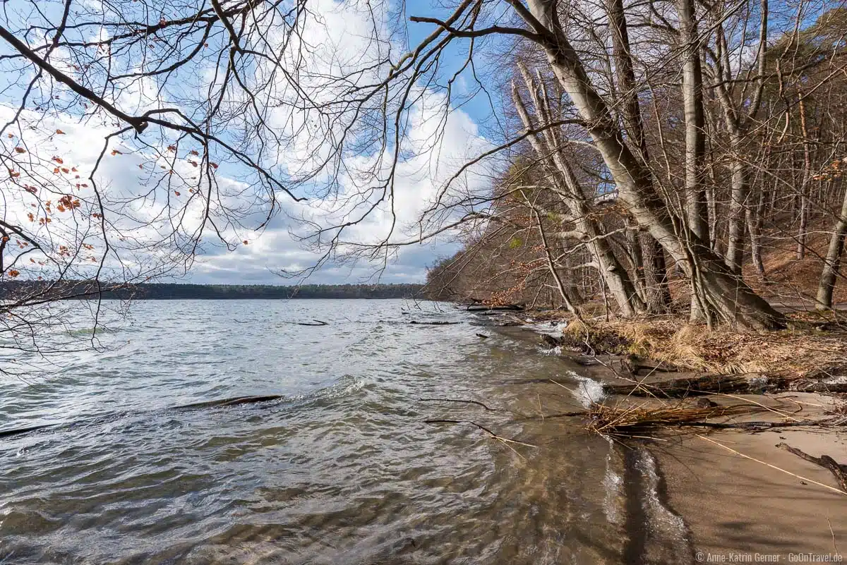 Werbellinsee im Frühling Werbellinsee im Frühling