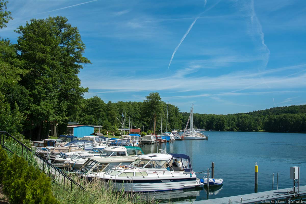 Sommer am Werbellinsee