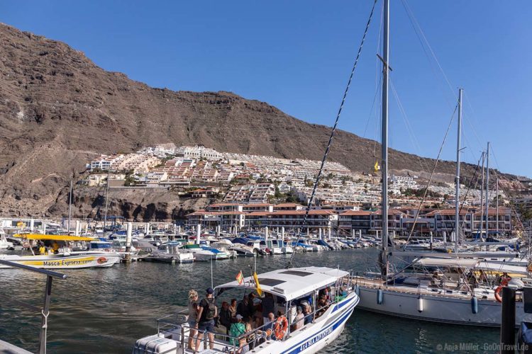 Im Hafen von Los Gigantes mit Whale Watching Teneriffa Ausflugsbooten Im Hafen von Los Gigantes mit Whale Watching Teneriffa Ausflugsbooten